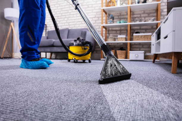 Maximizing the Lifespan of Your Carpet: A Dana Point Expert’s Advice
